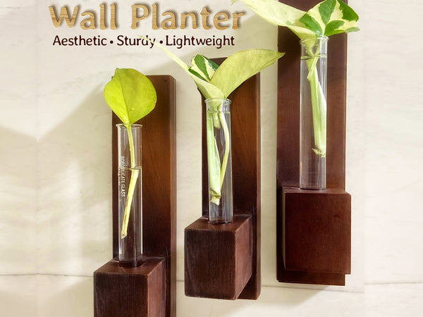 Bombay Greens Test Tube Wall Planter with Wooden Holder (set of 3)