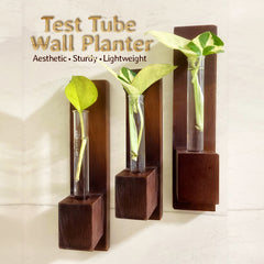 Bombay Greens Test Tube Wall Planter with Wooden Holder (set of 3)
