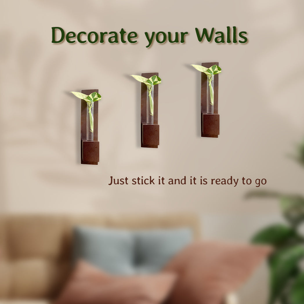 Bombay Greens Test Tube Wall Planter with Wooden Holder (set of 3)