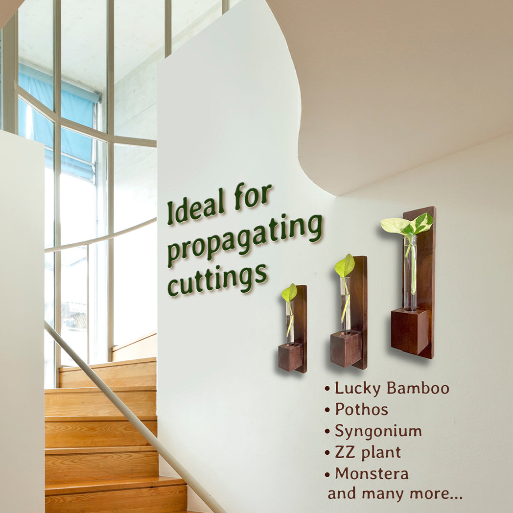 Bombay Greens Test Tube Wall Planter with Wooden Holder (set of 3)