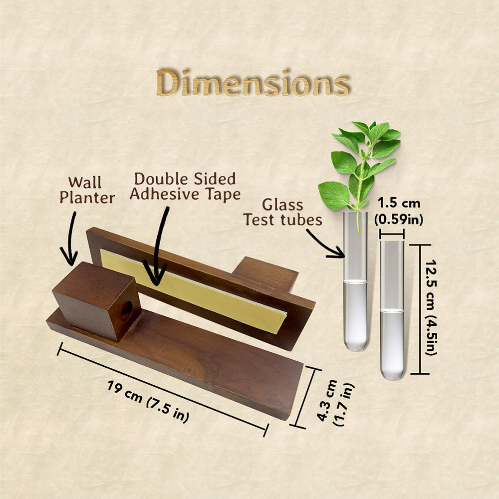 Bombay Greens Test Tube Wall Planter with Wooden Holder (set of 3)