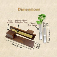 Bombay Greens Test Tube Wall Planter with Wooden Holder (set of 3)