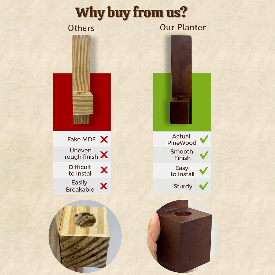 Bombay Greens Test Tube Wall Planter with Wooden Holder (set of 3)