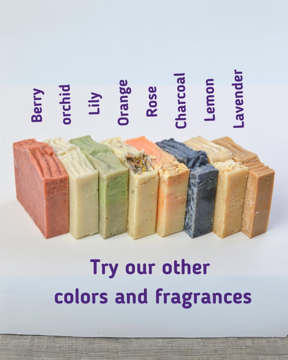 Sobek Naturals Wildlife Wonders animals cartoon Kids&