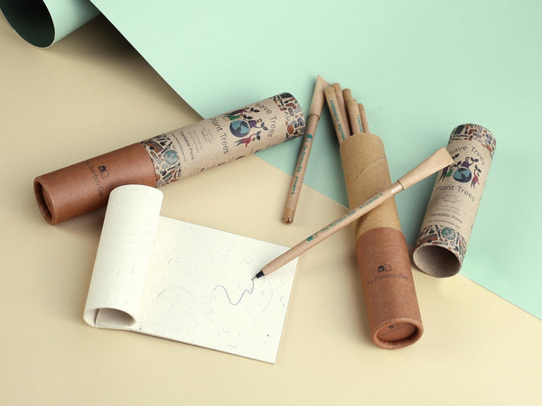 Paper Pens | 7 Plantable Pens with Reusable Tube Box | Seed Pens