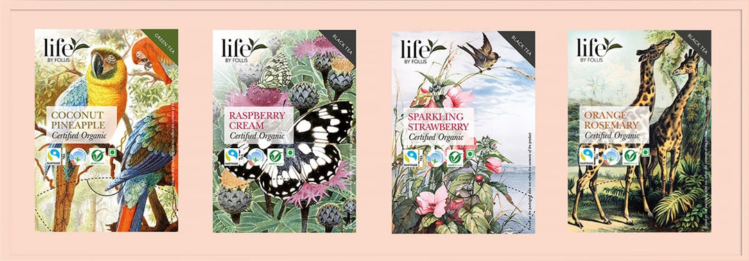 Life by Follis Gift Box Innovative Flavours