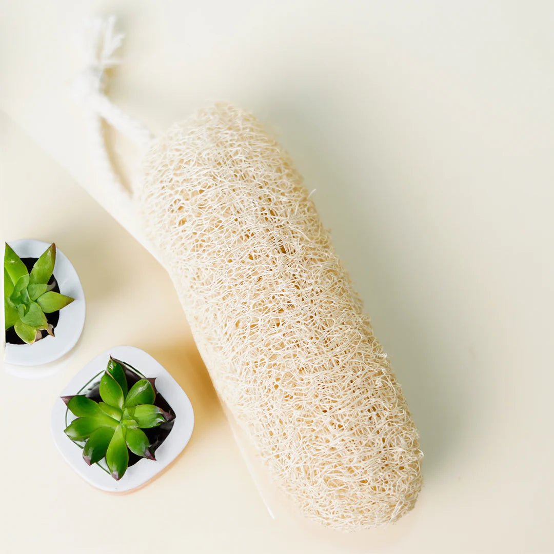 The Bare Bar Natural Vegetable Loofah - Body scrubber - Pack of 3 - Suspire