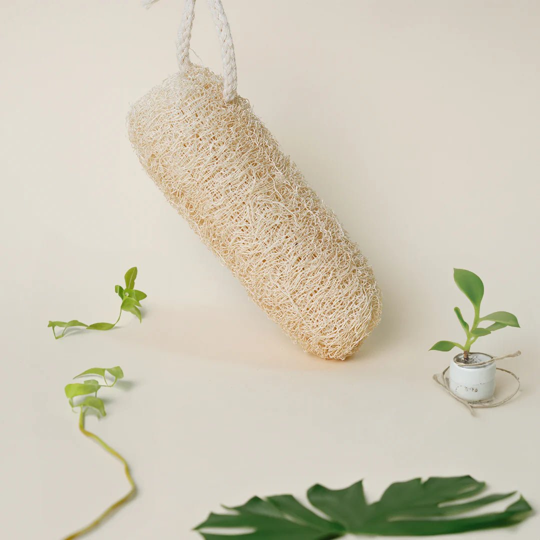 The Bare Bar Natural Vegetable Loofah - Body scrubber - Pack of 3 - Suspire