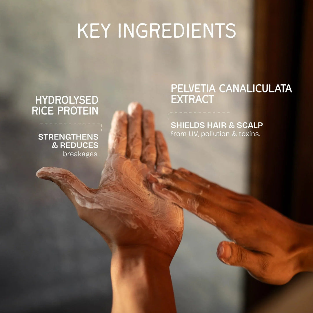 The Bare Bar Plumpify Volumizing Shampoo - Suspire