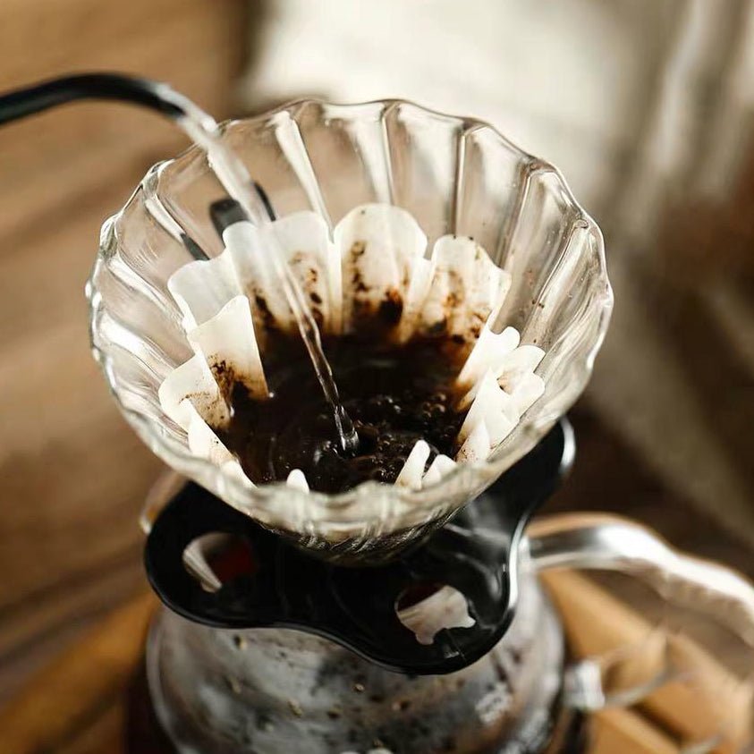 The Bean Co Roasters Glass Coffee Dripper – Manual Pour Over Coffee Brewer for Cup or Glass Carafe | Durable Borosilicate Glass | Café - Quality Brewing at Home - Suspire