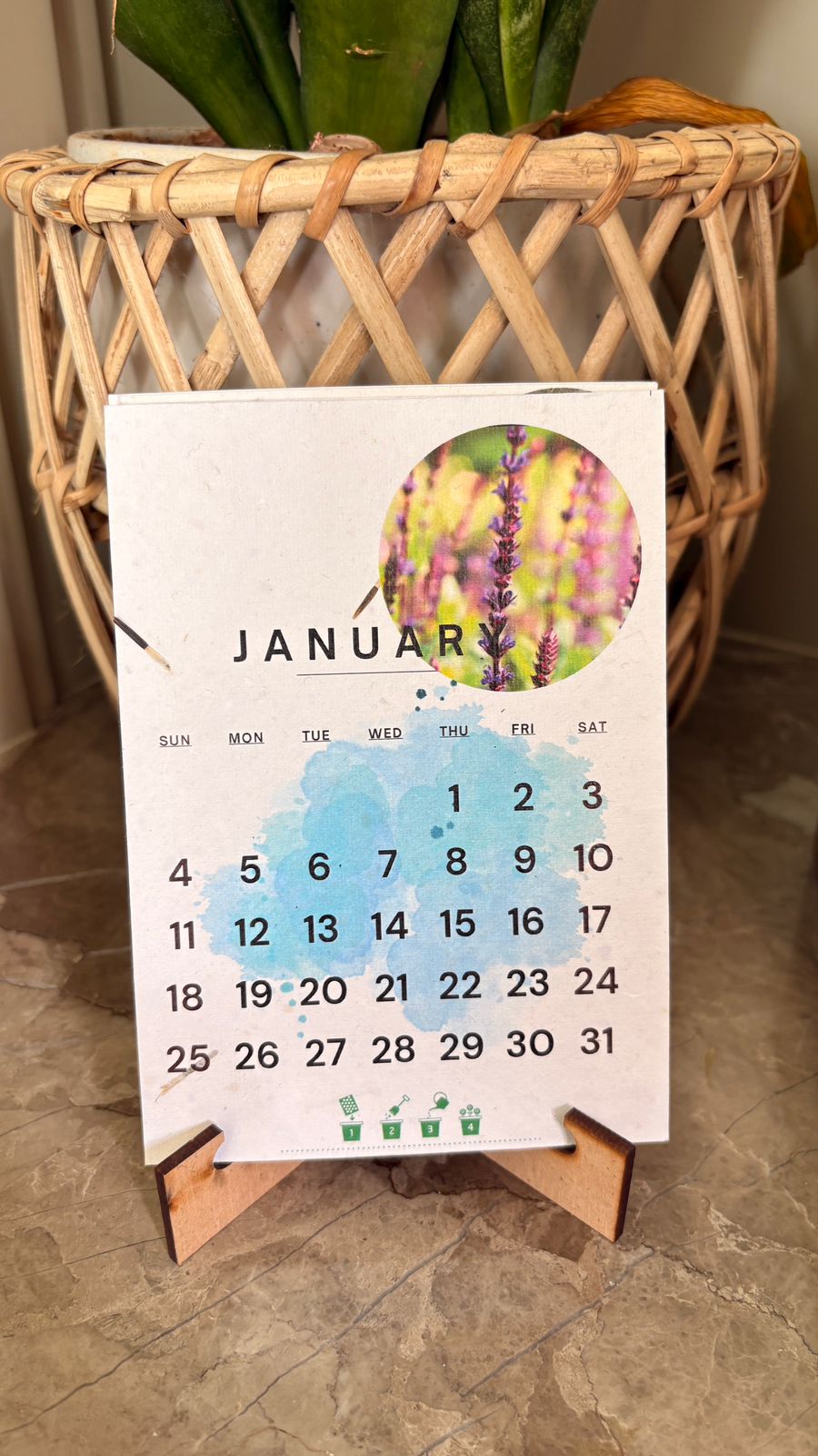 The Lushlights Plantable seed Desk calender 2026 - Suspire