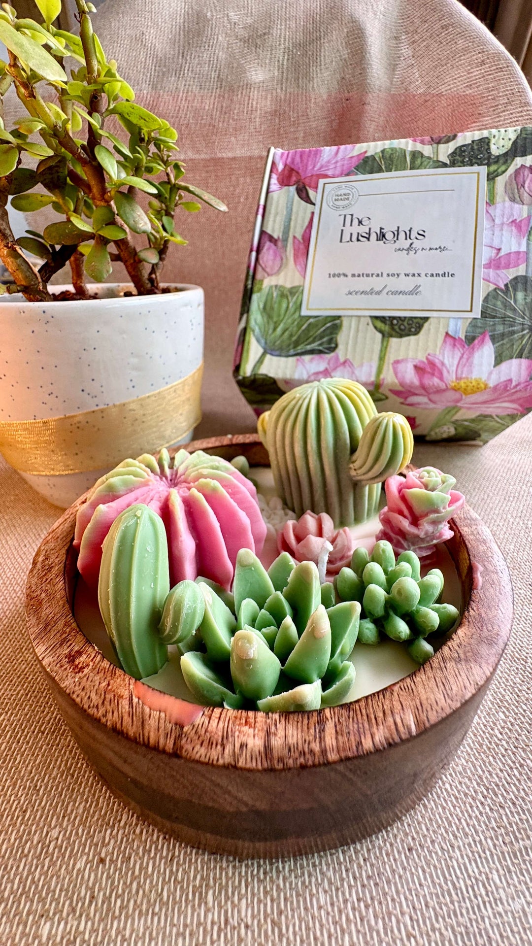 The Lushlights Succulent candle scented - Suspire