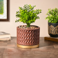 Brown Room/Table Planter with Golden Tray | Handcrafted Terracotta Planter