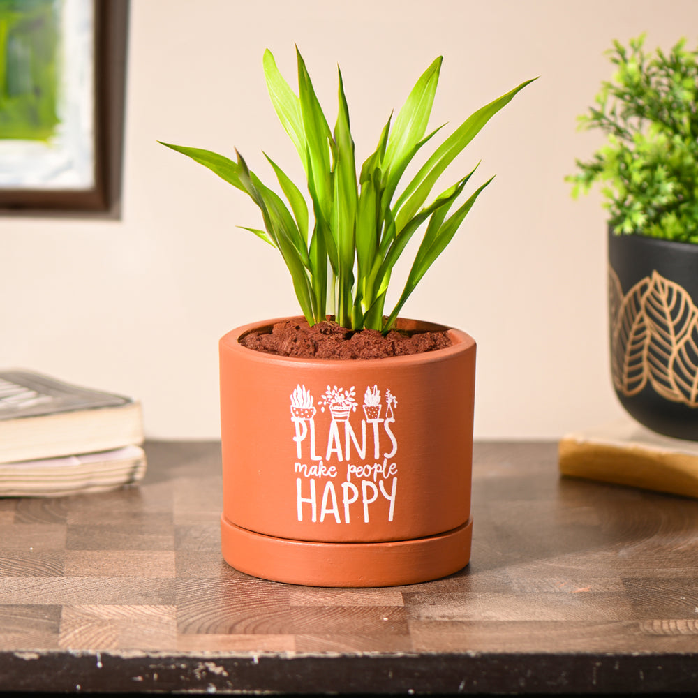 Plants Make People Happy small Table Planter with Tray | Handcrafted Terracotta