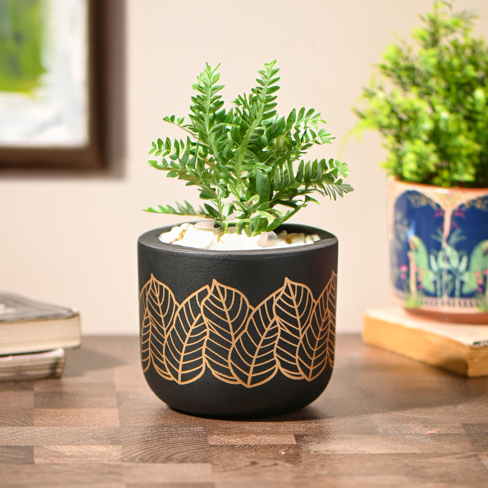 Matte Black Golden Leaves small Room/Table Planter | Handcrafted Terracotta Planter