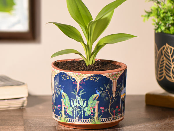 Peacock Printed small Room/Table Planter | Handcrafted Terracotta Planter