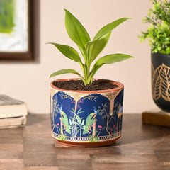 Peacock Printed small Room/Table Planter | Handcrafted Terracotta Planter
