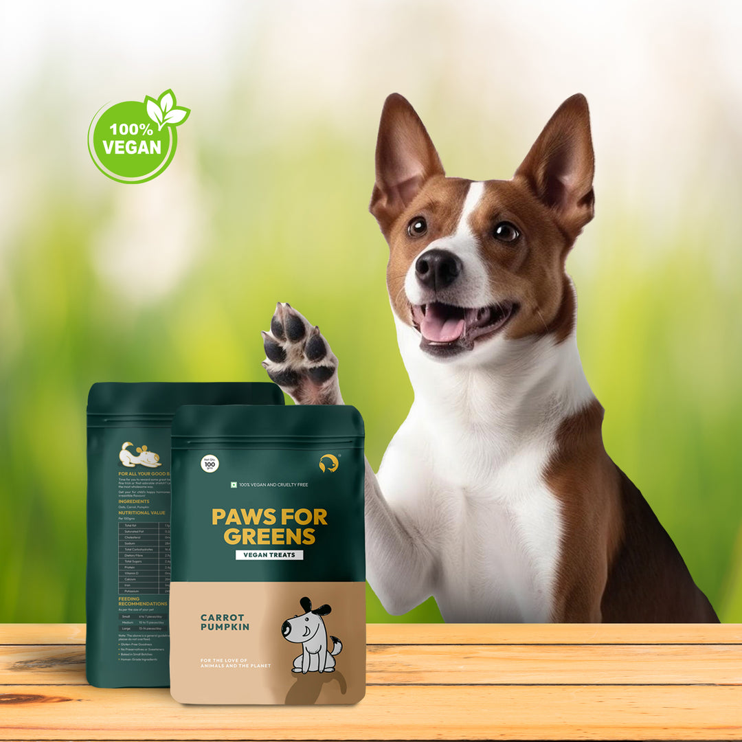 Paws For Greens Vegan Treats- Carrot and Pumpkin Flavour - 100 gm
