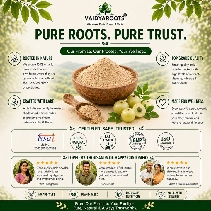 VaidyaRoots Amla Powder (Indian Gooseberry) | 100% Natural & Pure | Rich in Vitamin C | For Hair, Skin, Immunity & Digestion | No Additives, Chemical-Free