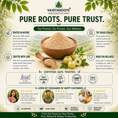 VaidyaRoots Amla Powder (Indian Gooseberry) | 100% Natural & Pure | Rich in Vitamin C | For Hair, Skin, Immunity & Digestion | No Additives, Chemical-Free