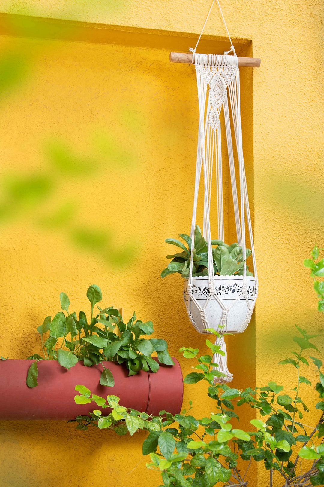 Macrame Wall Hanging Single Pot Plant Holder