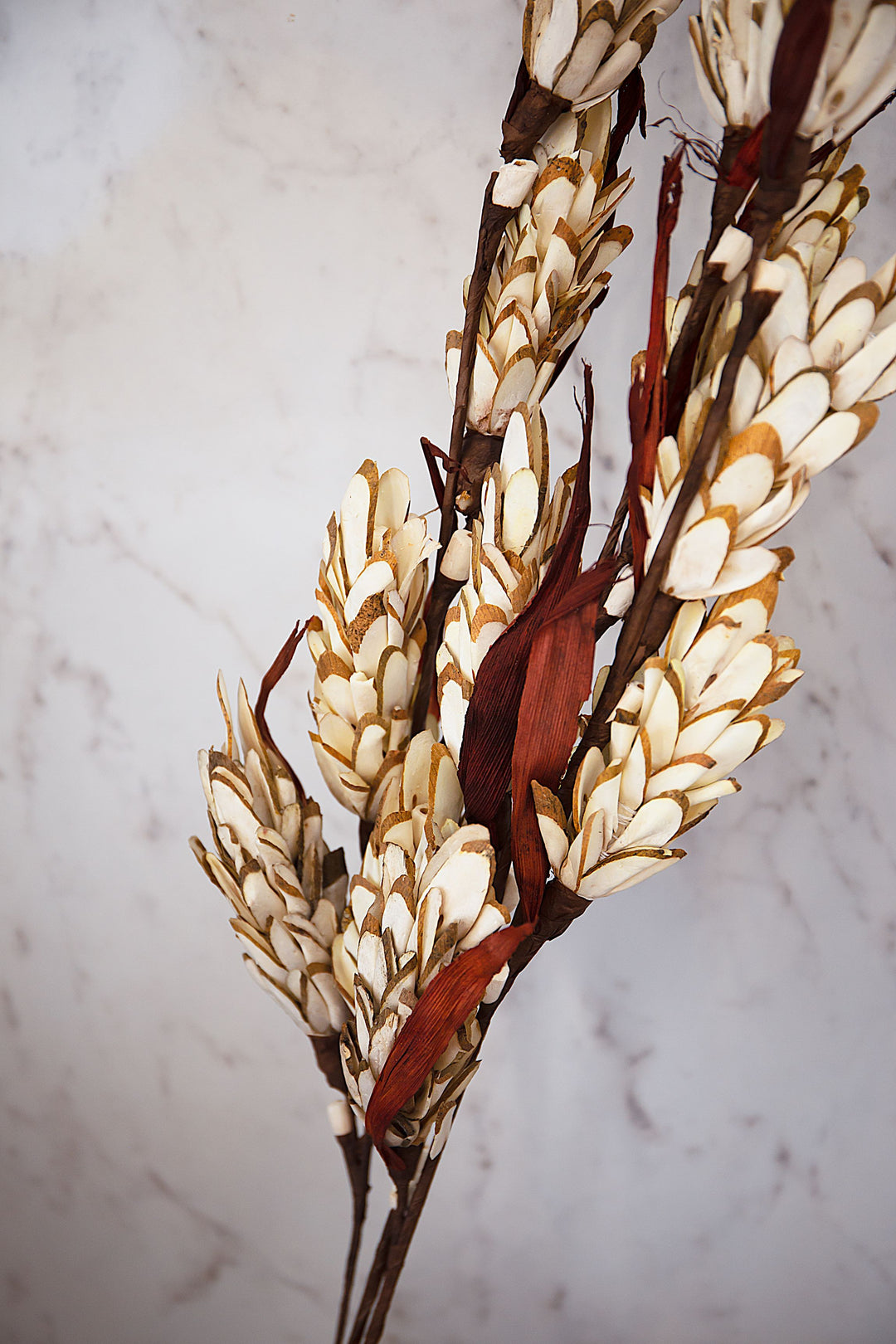 Shola Corn stick- Set of 2