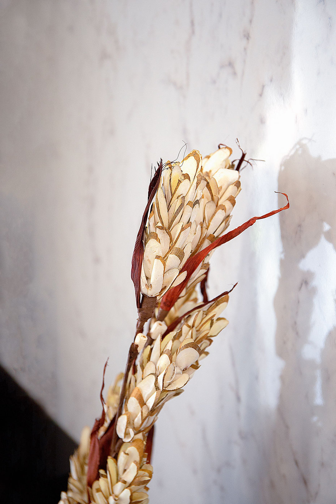 Shola Corn stick- Set of 2