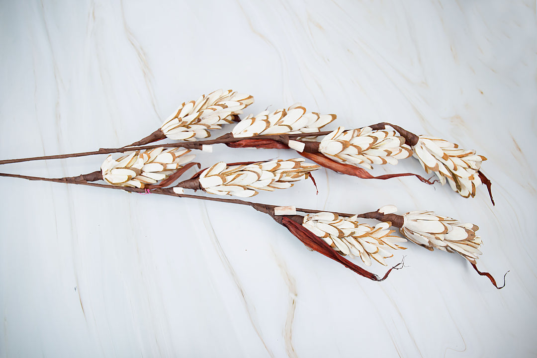 Shola Corn stick- Set of 2