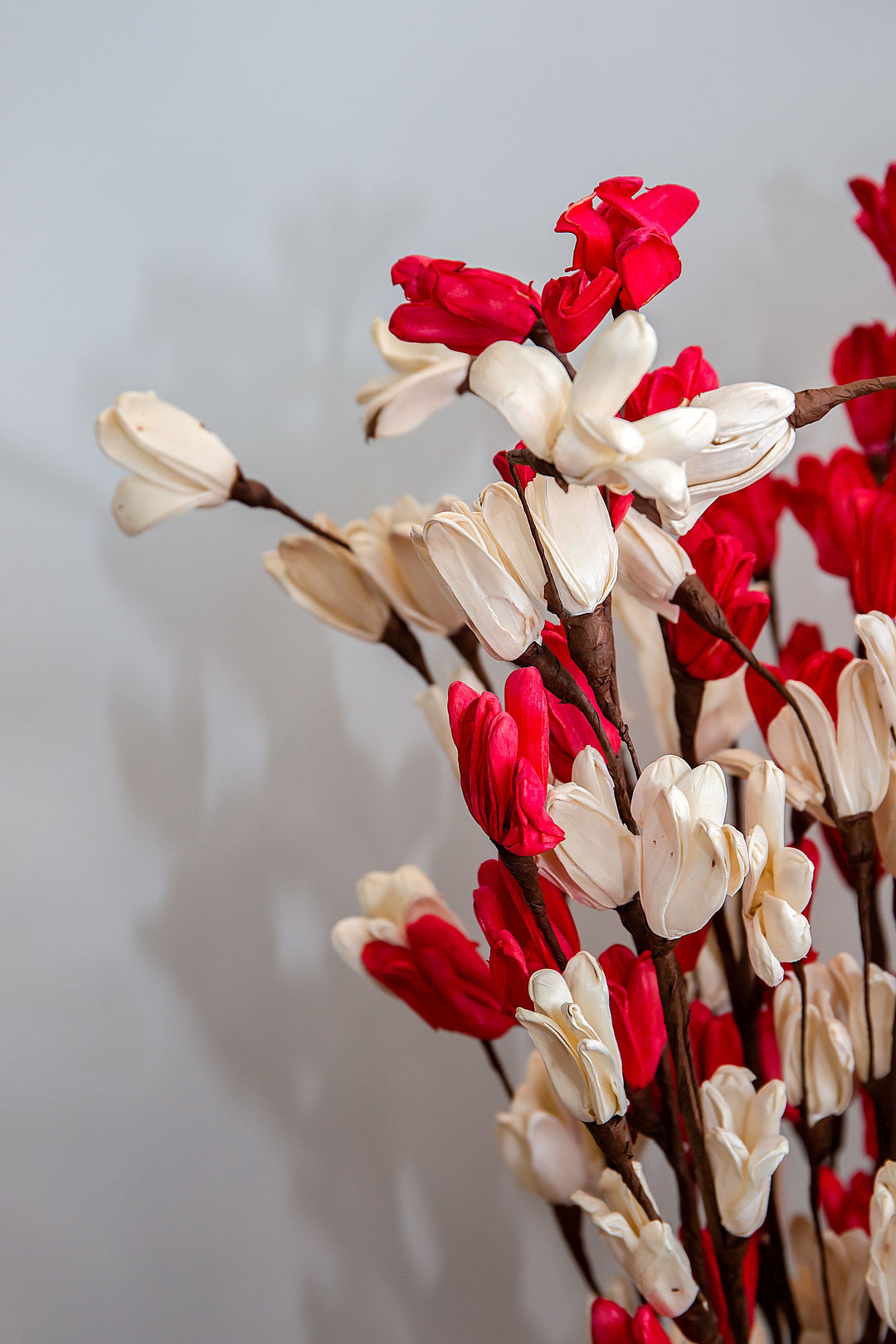 Shola Long Bud Branch Stick- Bunch of 5