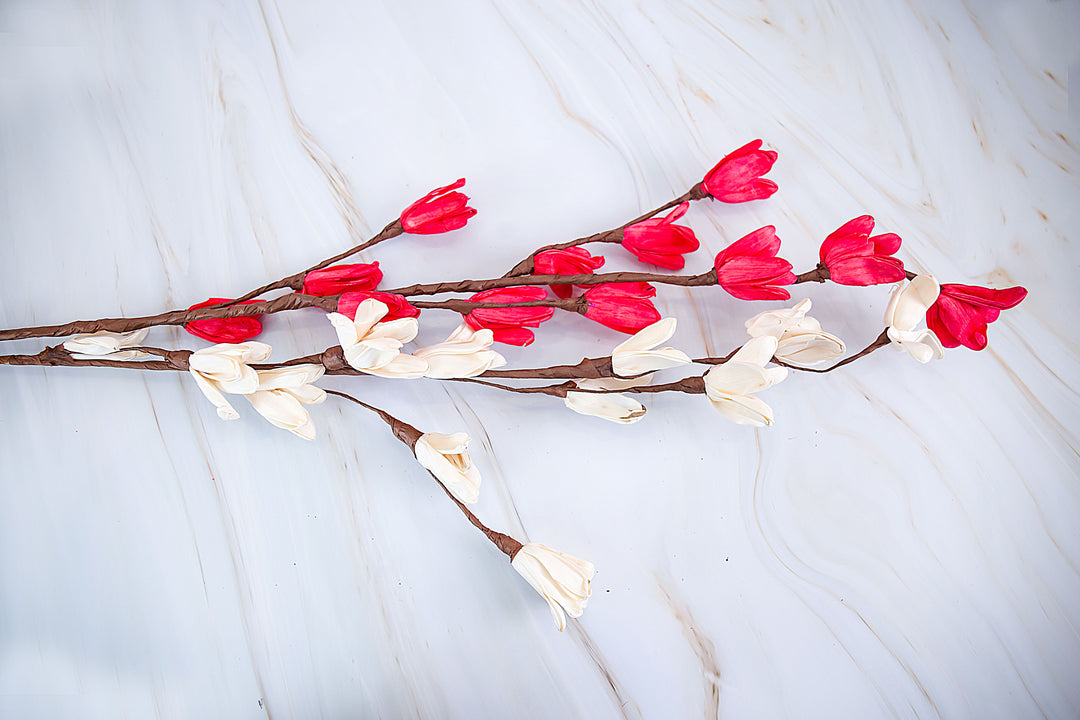 Shola Long Bud Branch Stick- Bunch of 5