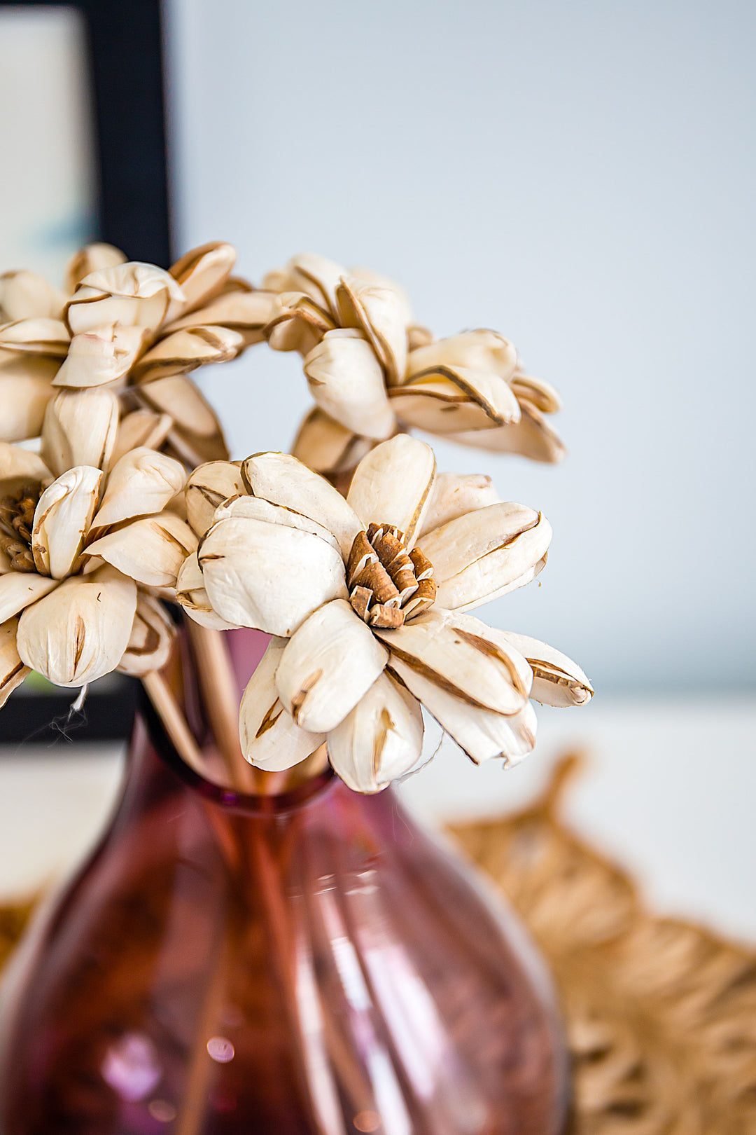 Shola Sufala Lotus- Bunch of 5