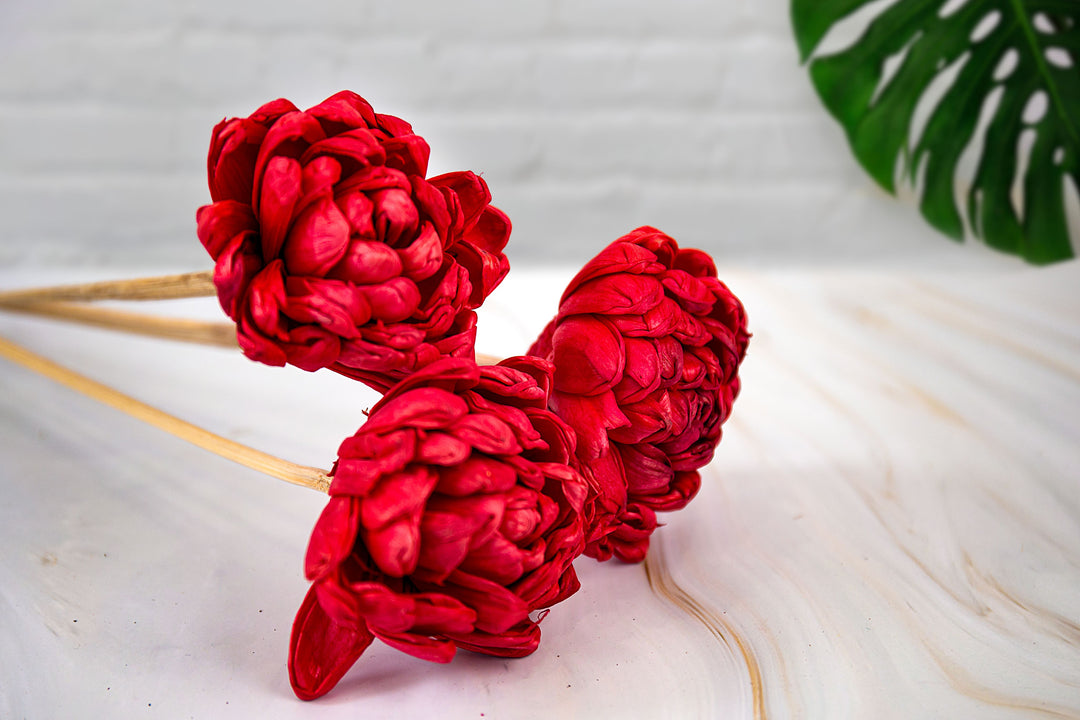 Shola Pyazi Flowers red- Bunch of 5