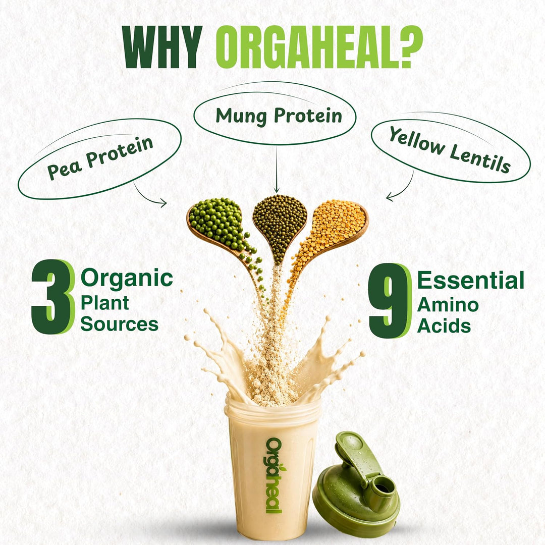 Organic Plant Based Protein Powder Unflavored | 980g