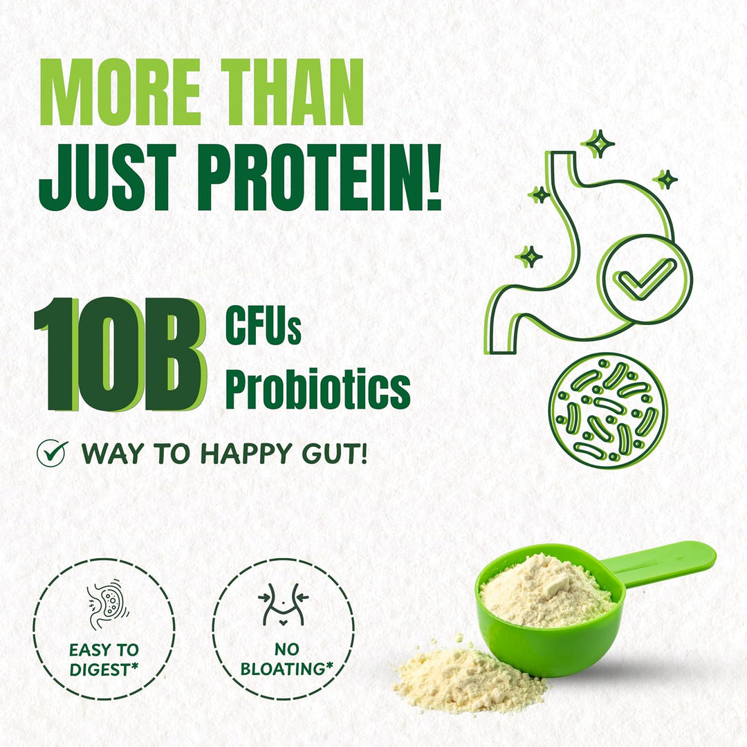 Organic Plant Based Protein Powder Unflavored | 980g