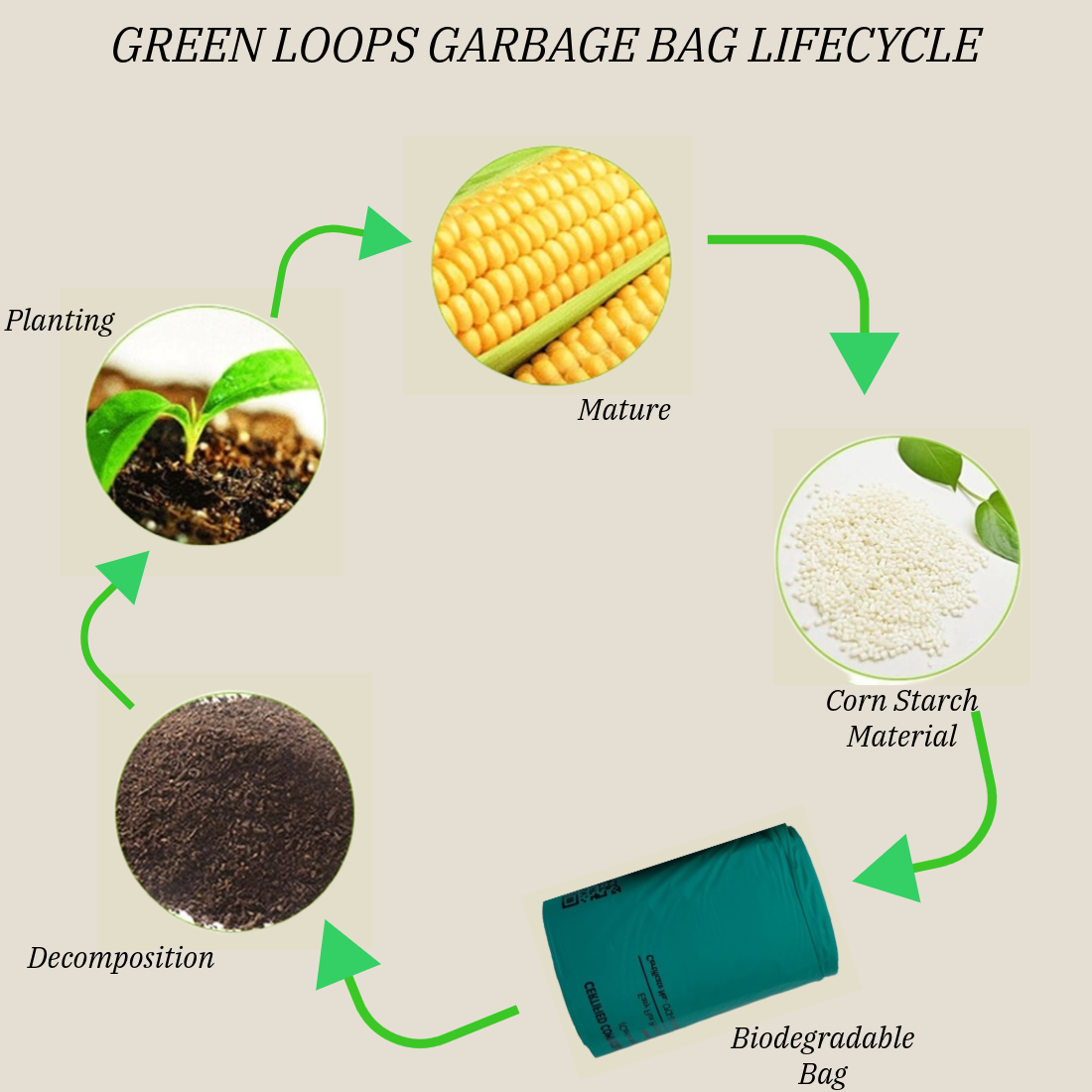 Compostable Garbage Bag Large Size 19"x21" - 30 Bag (Pack of 2 Roll)