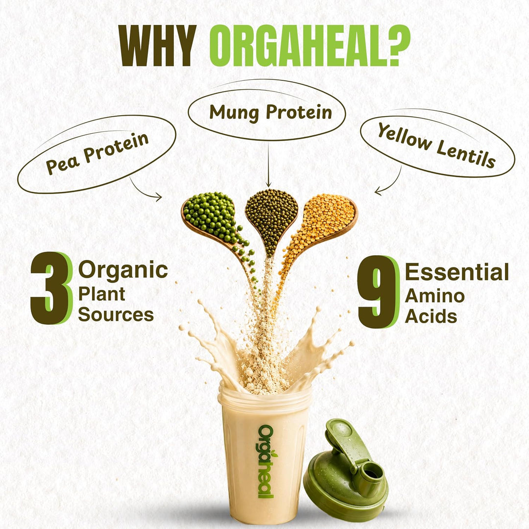 Organic Plant Based Protein Powder Vanilla | 980g