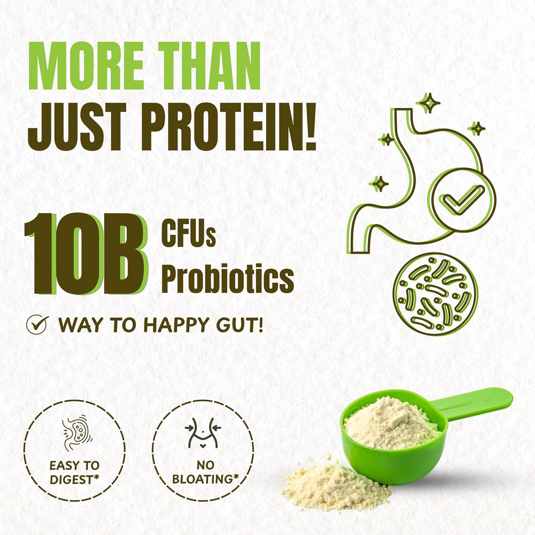 Organic Plant Based Protein Powder Vanilla | 980g