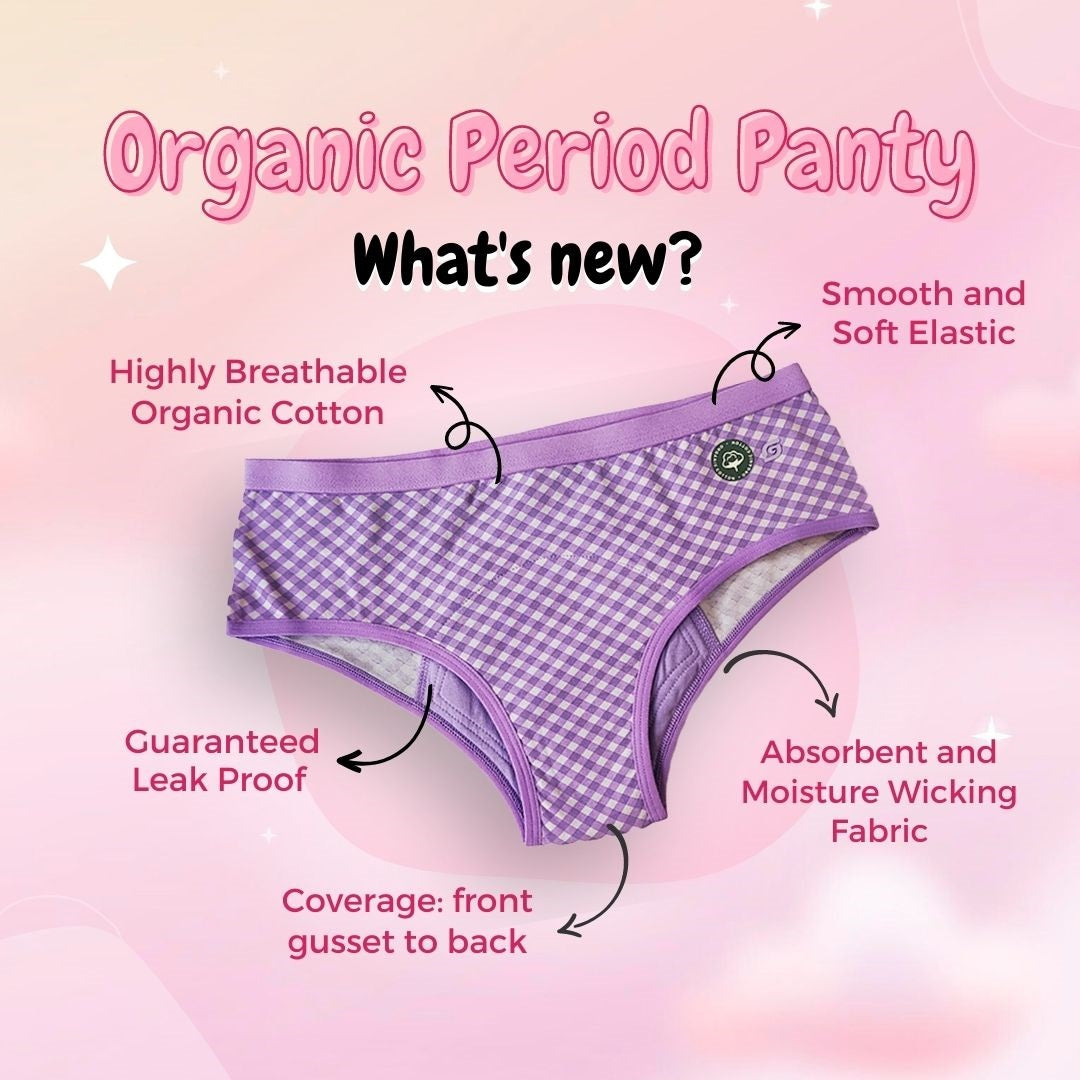 SochGreen Organic Period Panty (hipster) (1 pc)
