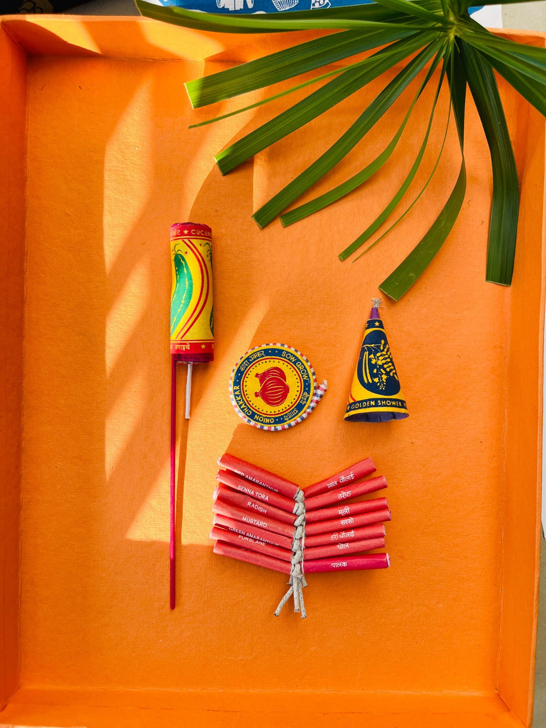 Shuddh Natural Plantable crackers | seed crackers | beej patakha | set of 4 I plantable seed box