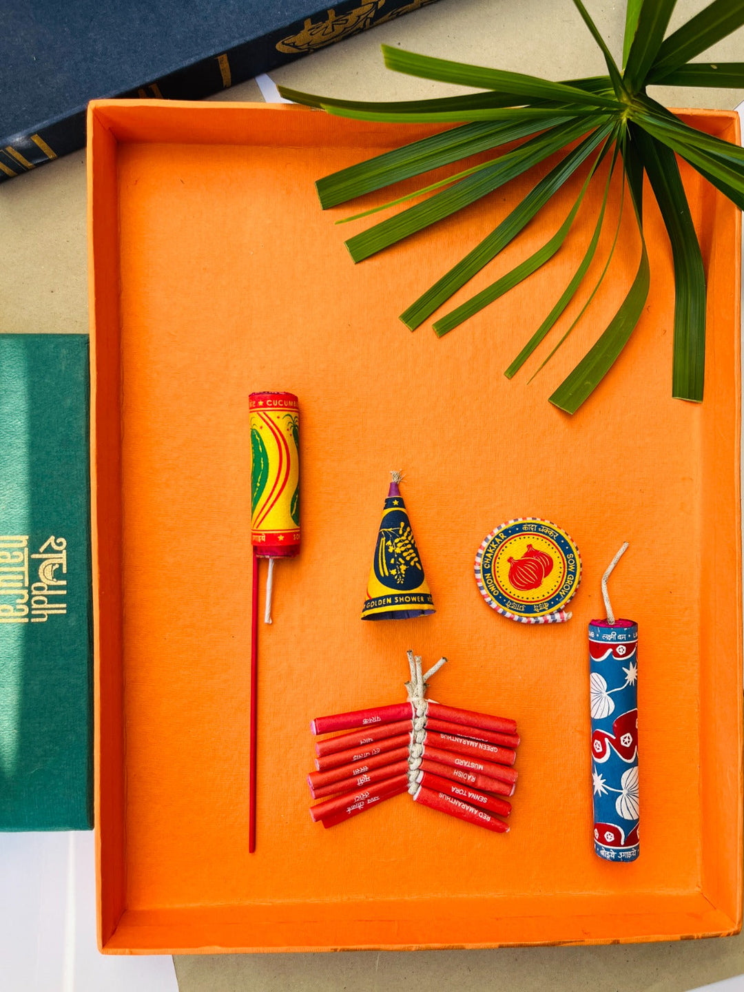 Shuddh Natural Plantable crackers | seed crackers | beej patakha | set of 5 I plantable seed box