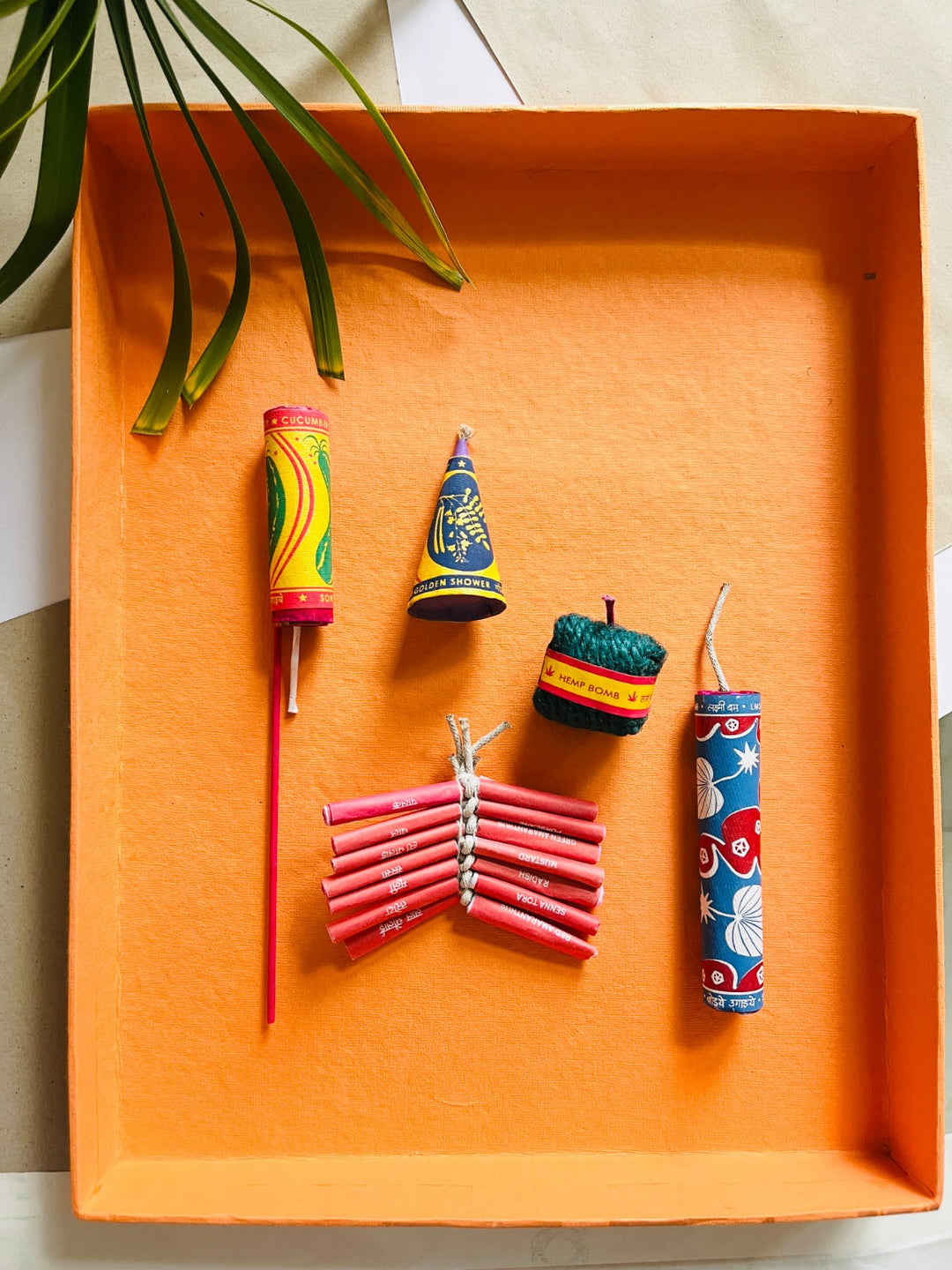 Shuddh Natural Plantable Crackers | seed crackers | beej patakha | set of 6 I plantable seed box