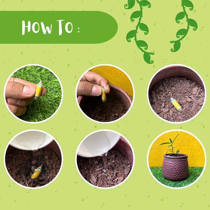 Taali Plantable Pencil with Characters Pencil End - Set of 5 Pencils