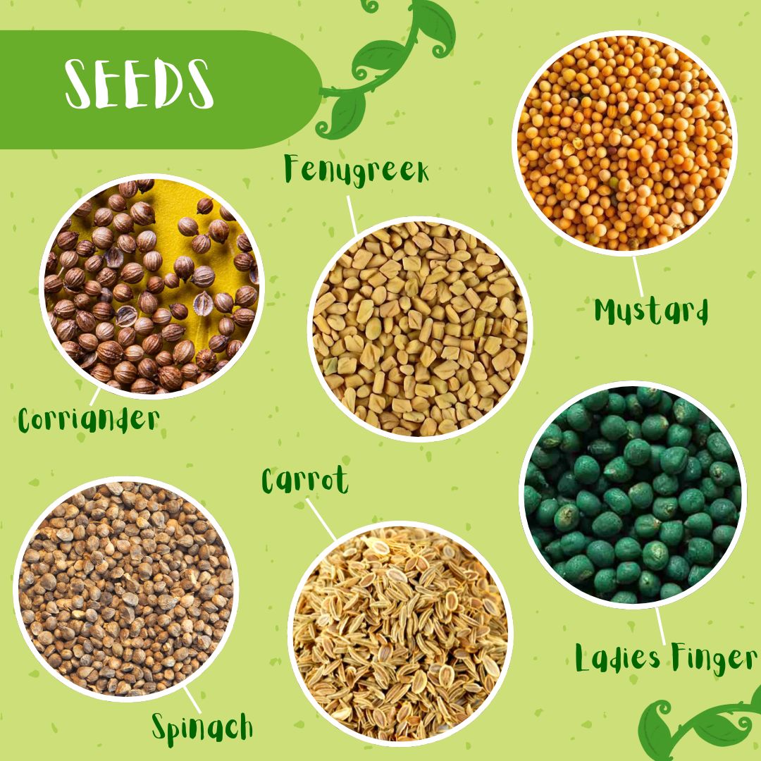 Taali Plantable Pencil with Characters Pencil End - Set of 5 Pencils