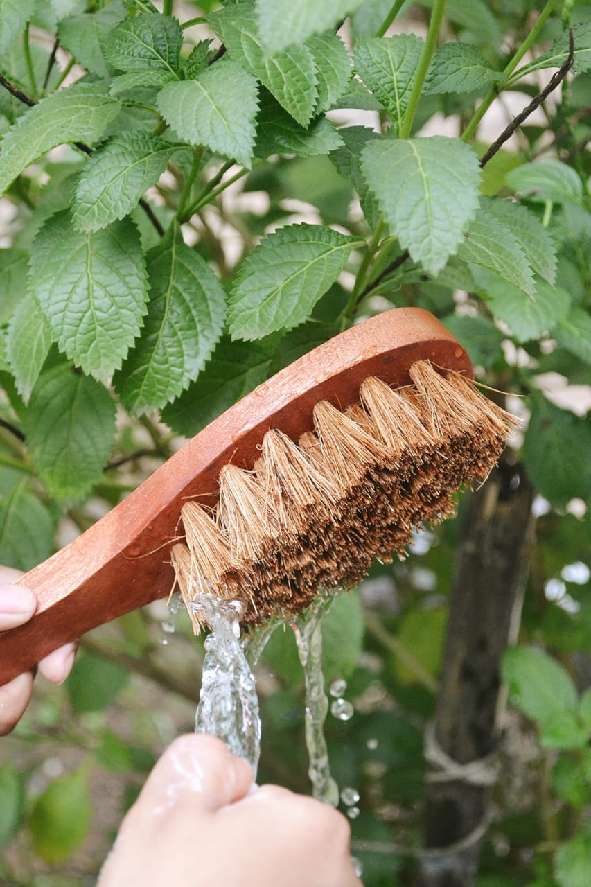 Almitra Sustainables Coconut Fiber - Dry Body Brush