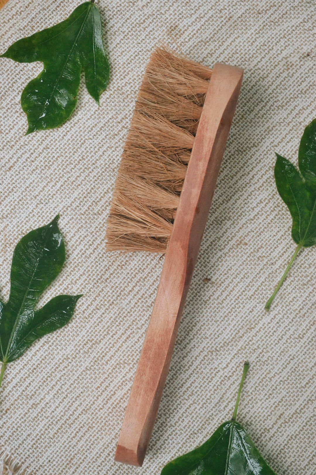 Almitra Sustainables Coconut Fiber - Dry Body Brush