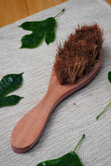 Almitra Sustainables Coconut Fiber - Dry Body Brush