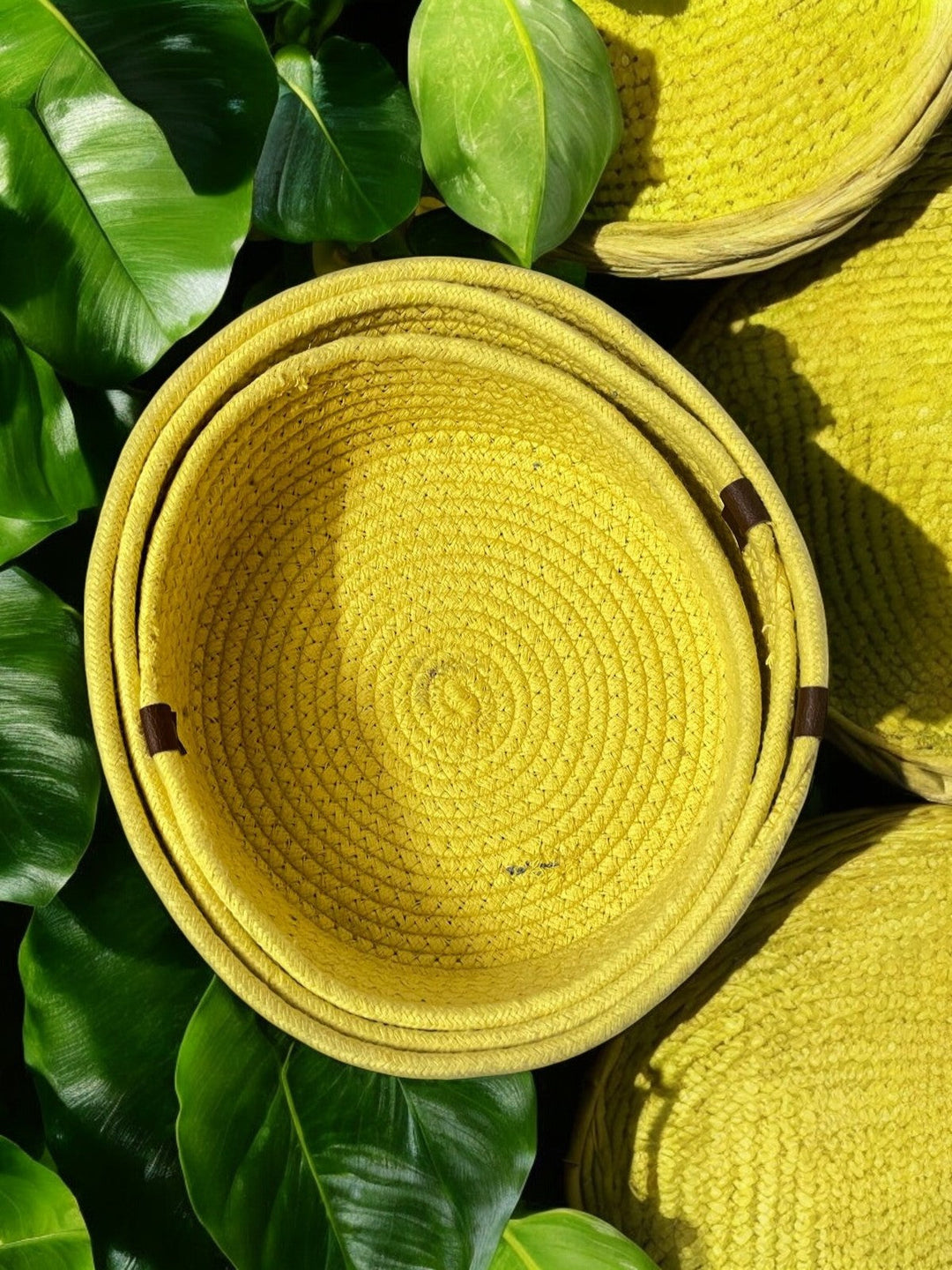 ONEarth Nesting basket (set of 3)