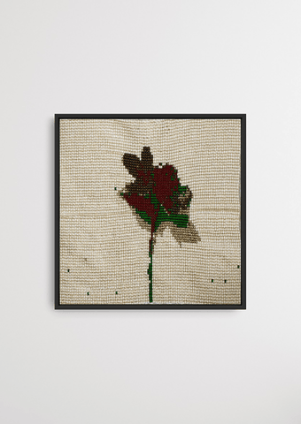 When the wind blows, it blooms