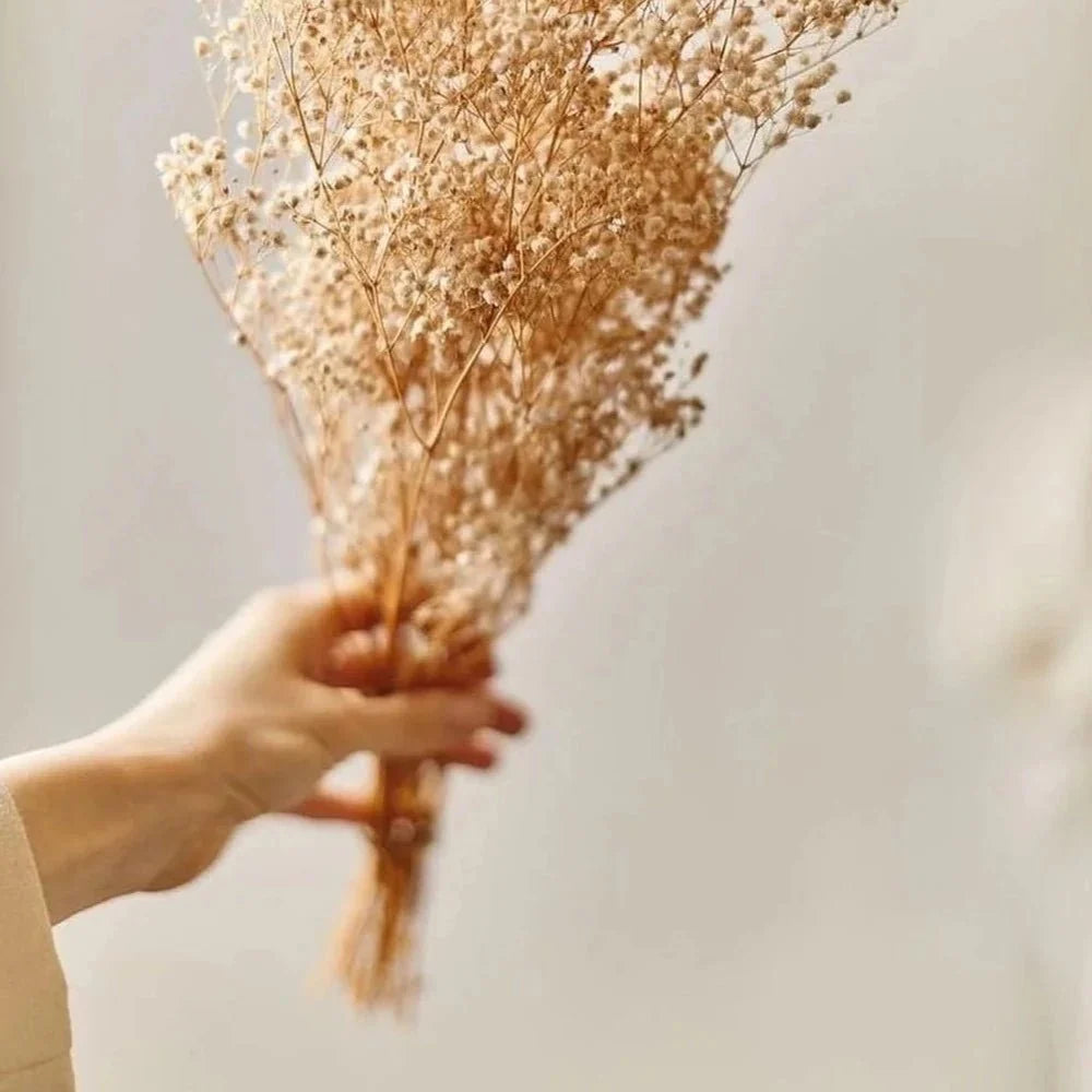 White Baby’s Breath Dried Flowers for Vase | Gypsophila Decor