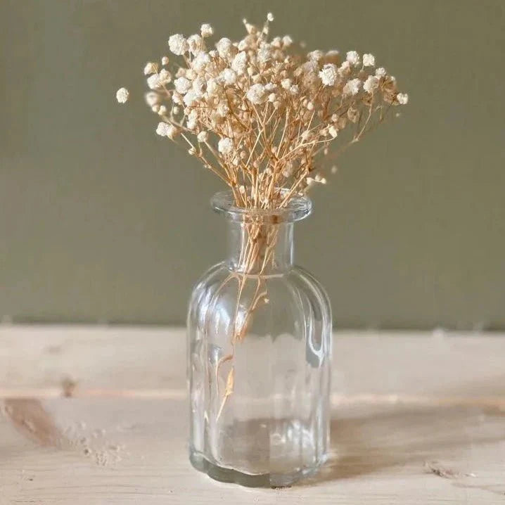 White Baby’s Breath Dried Flowers for Vase | Gypsophila Decor